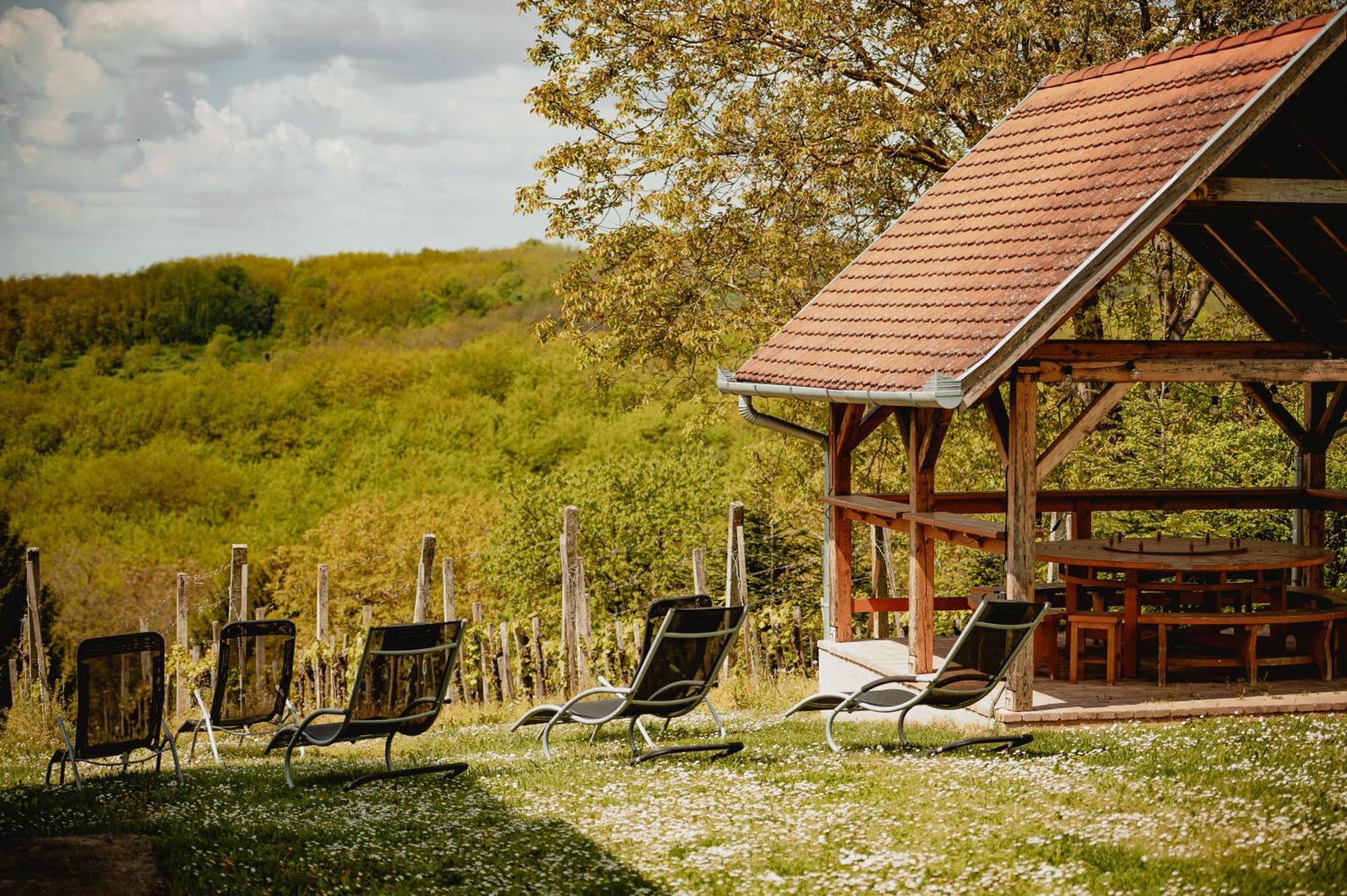 Förhénc Wine House&Guesthouses I-II-III Nagykanizsa Extérieur photo
